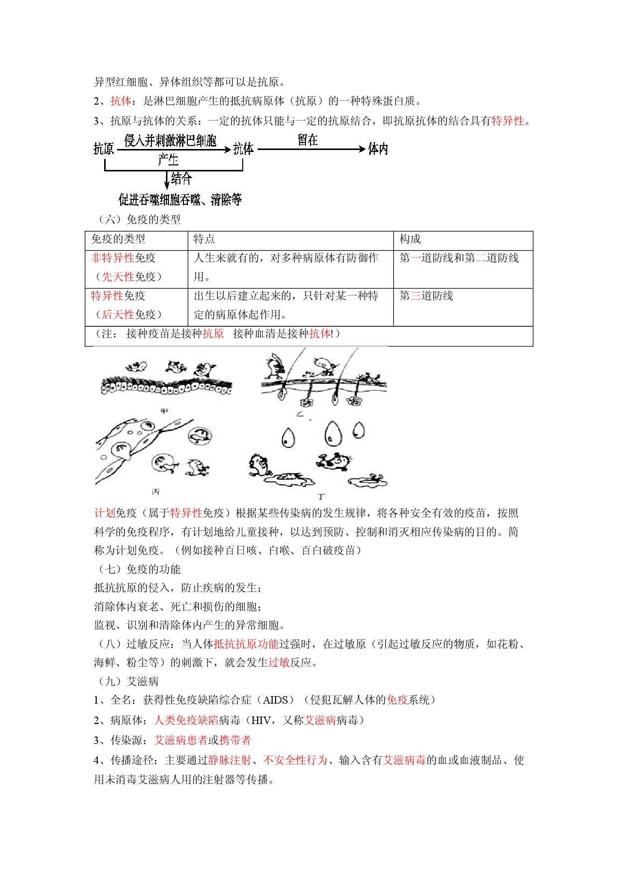 专题09 健康的生活（解析版）-2021-2022学年八年级上学期期末复习之重难点突破（人教版） .doc 第2页