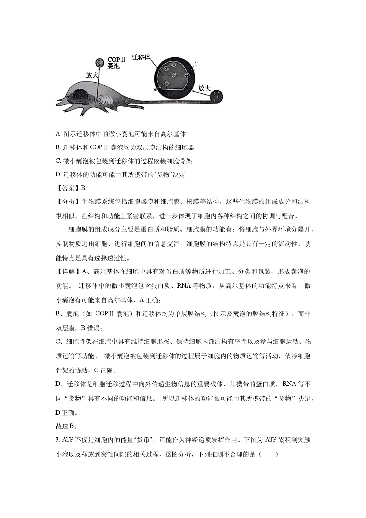 生物试卷山西晋中市2025届高三适应训练(含参考解析).docx 第2页