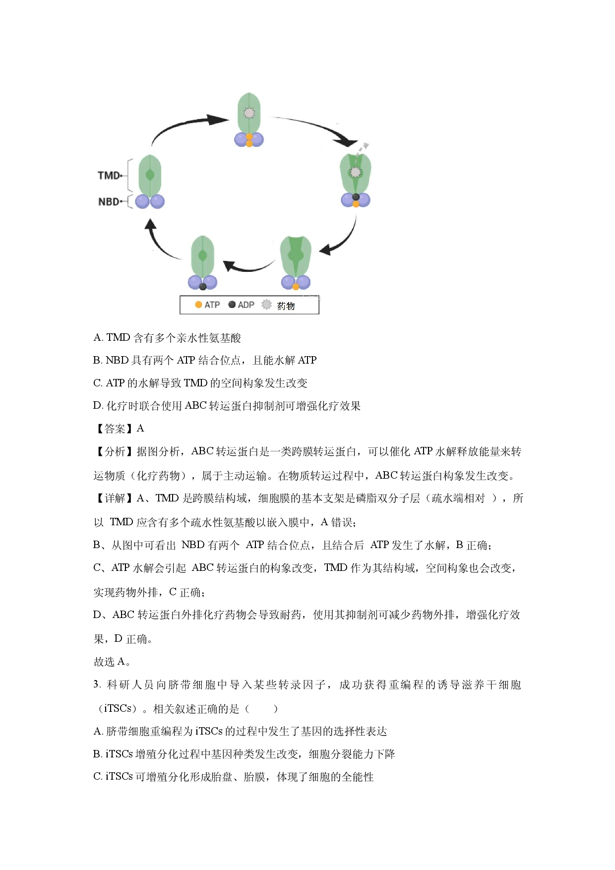 生物试卷江苏2025届高三重点中学5月调研测试(含参考解析).docx 第2页