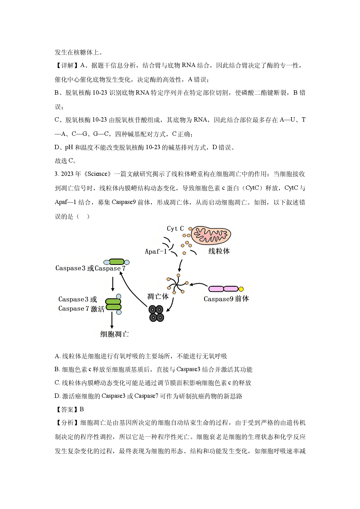 生物试卷湖南永州市2025届高三下学期模拟考试（二）(含参考解析).docx 第2页