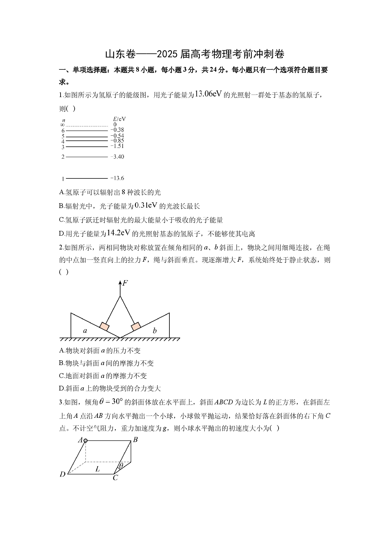 物理试卷2025届高考考前冲刺卷（山东卷）(含参考解析).docx 第1页