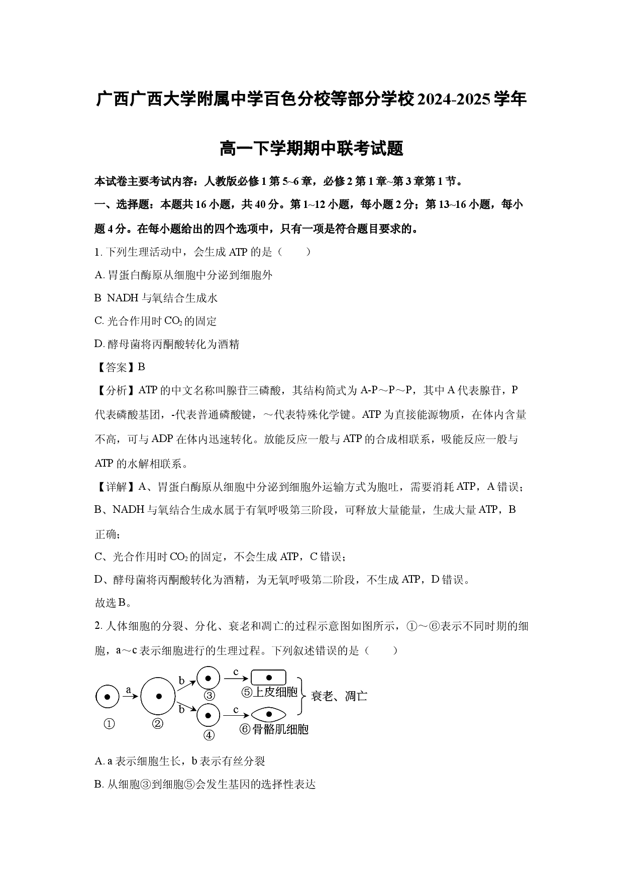 生物试卷广西广西大学附属中学百色分校等部分学校2024-2025学年高一下学期期中联考试题(含参考解析).docx 第1页