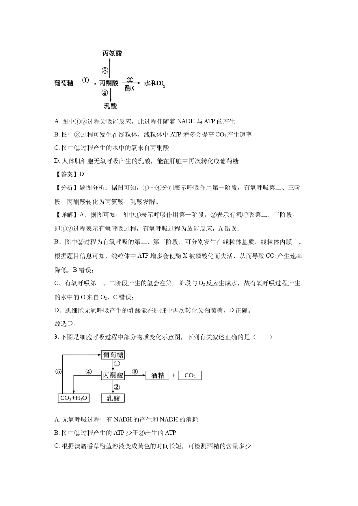 生物试卷河北石家庄市二中教育集团2024-2025学年高一下学期期中试卷(含参考解析).docx 第2页