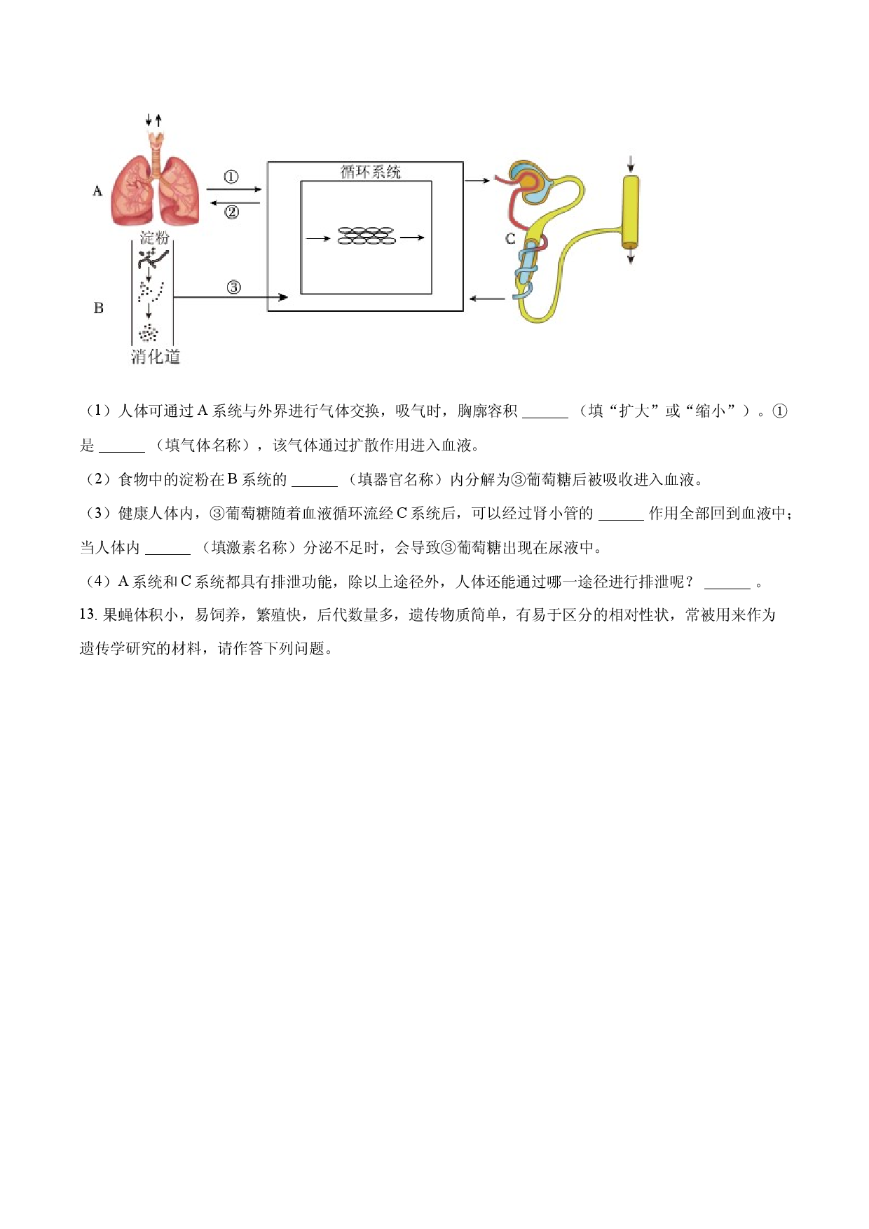 2025年甘肃白银市中考生物模拟试卷.docx 第2页