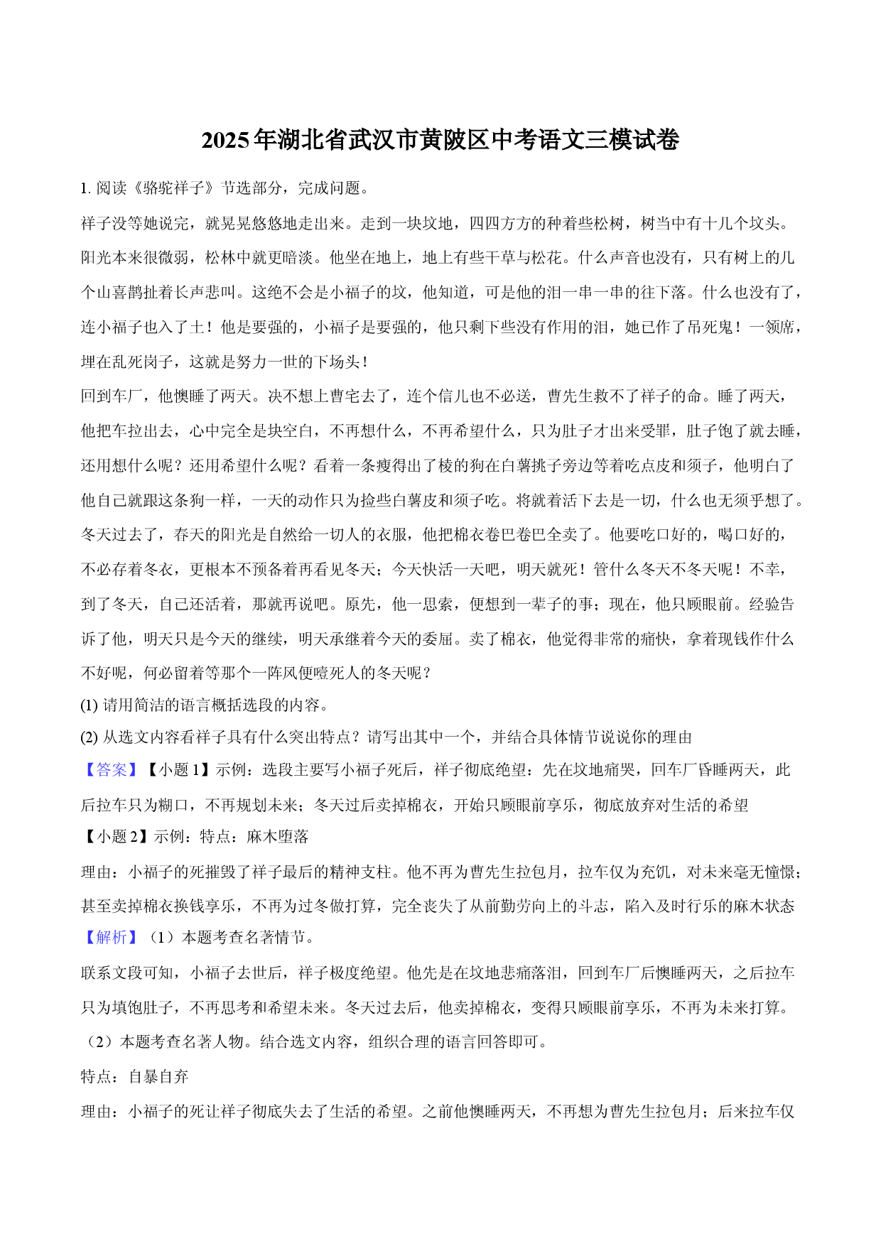 2025年湖北武汉市黄陂区中考语文三模试卷.docx 第1页