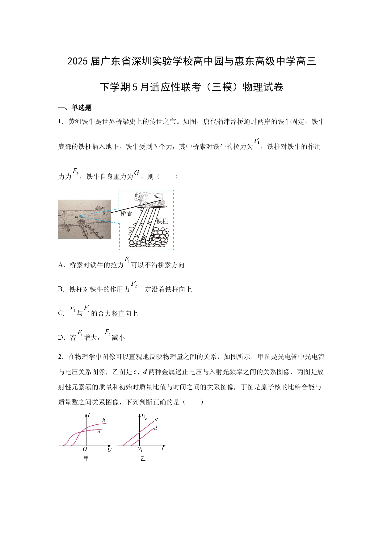 物理试卷2025届广东深圳实验学校高中园与惠东高级中学高三下学期5月适应性联考（三模）试卷(含参考解析).docx 第1页
