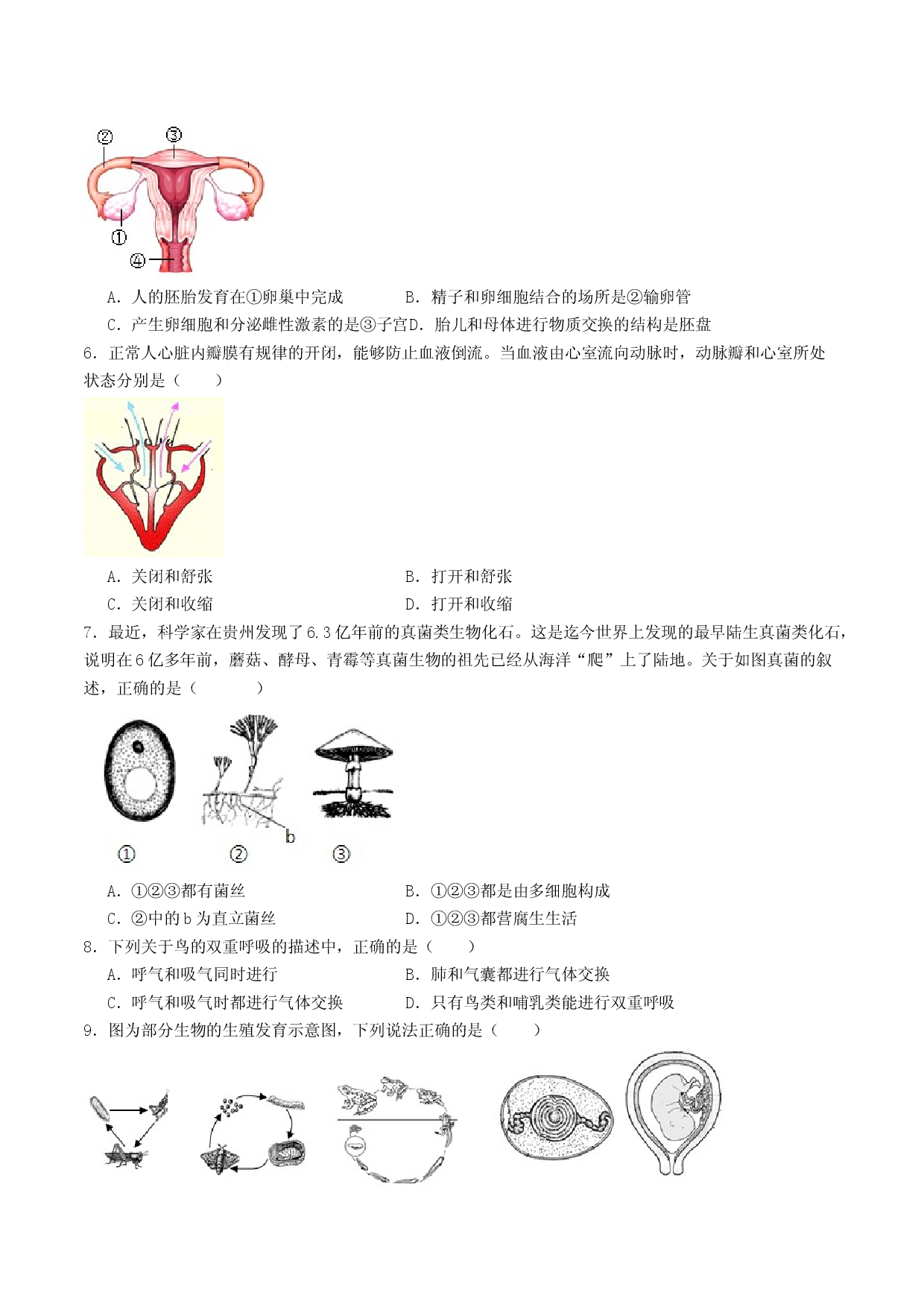 2024年安徽学业水平考试生物试题(含参考解析).docx 第2页