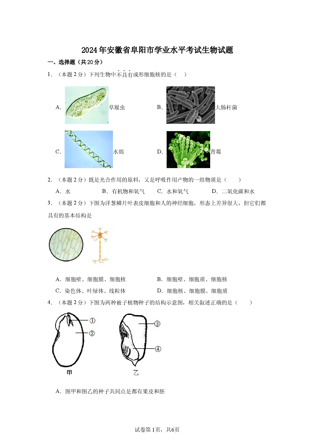 2024年安徽阜阳市学业水平考试生物试题(含参考答案)x.docx 第1页